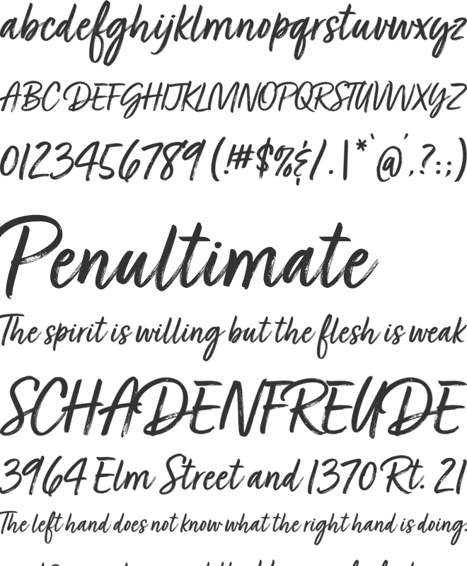 Turbinado Dry Pro font preview