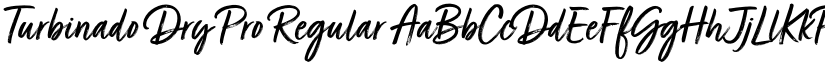 Turbinado Dry Pro Regular font