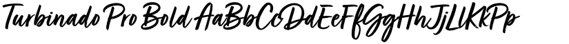 Turbinado Pro Bold font