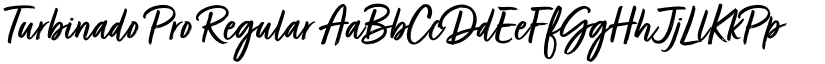 Turbinado Pro Regular font