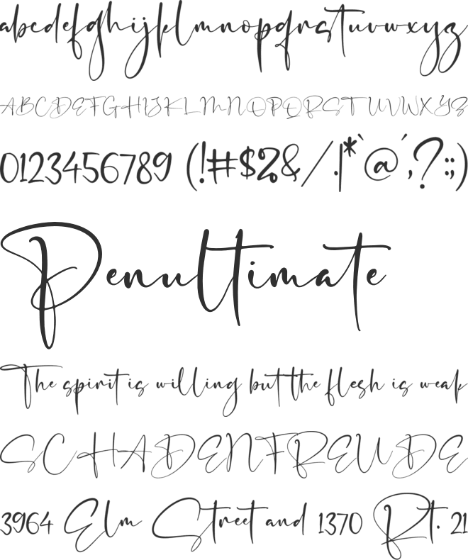 Senorita Signature font preview