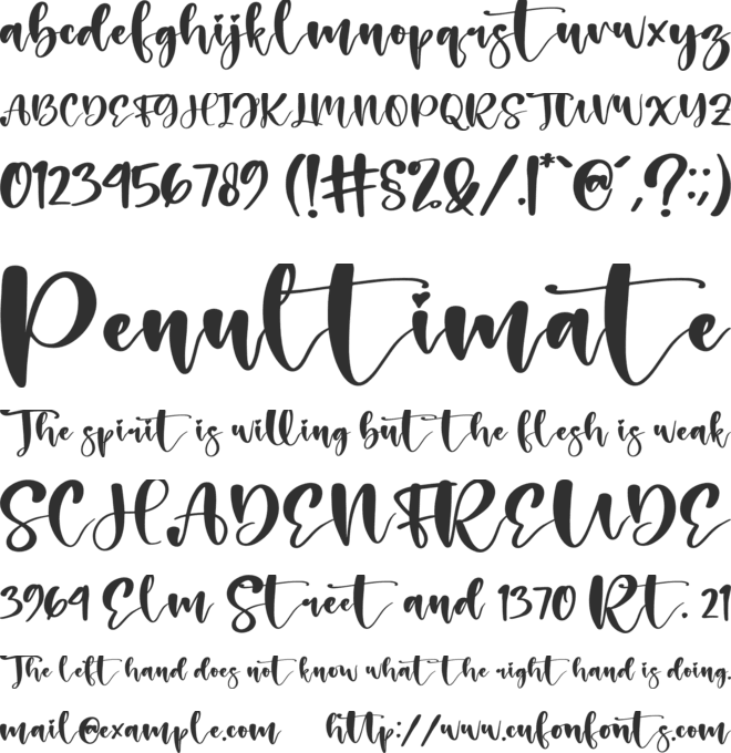 Holiday font preview
