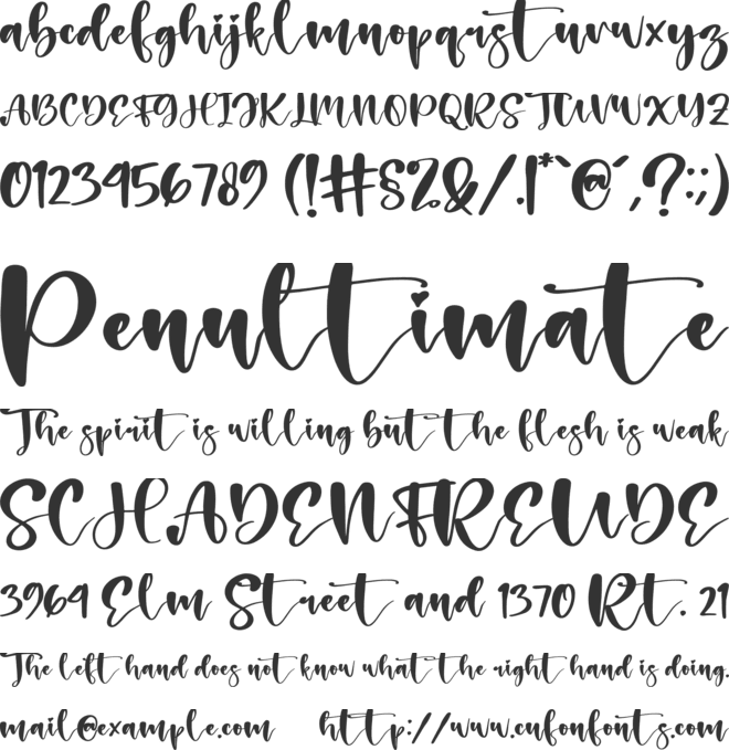 Holiday font preview