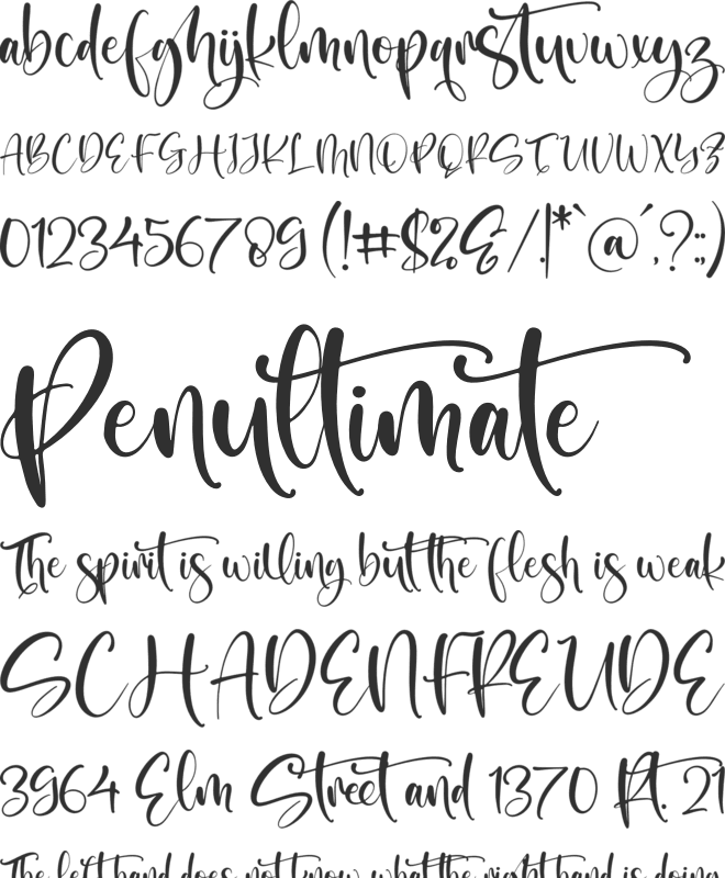 Wintersnow font preview