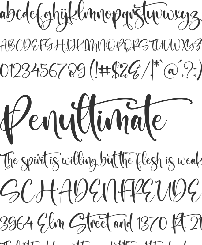 Wintersnow font preview