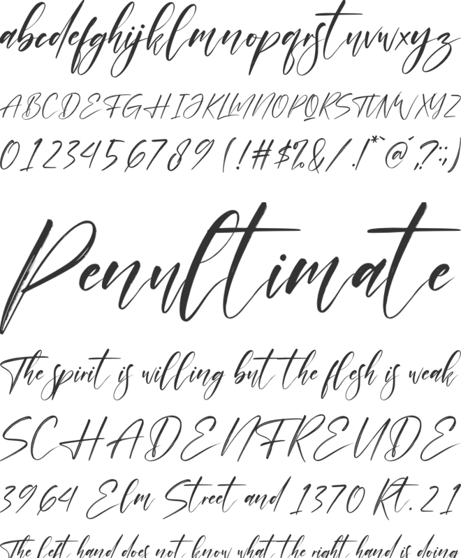 Orlando Smith font preview