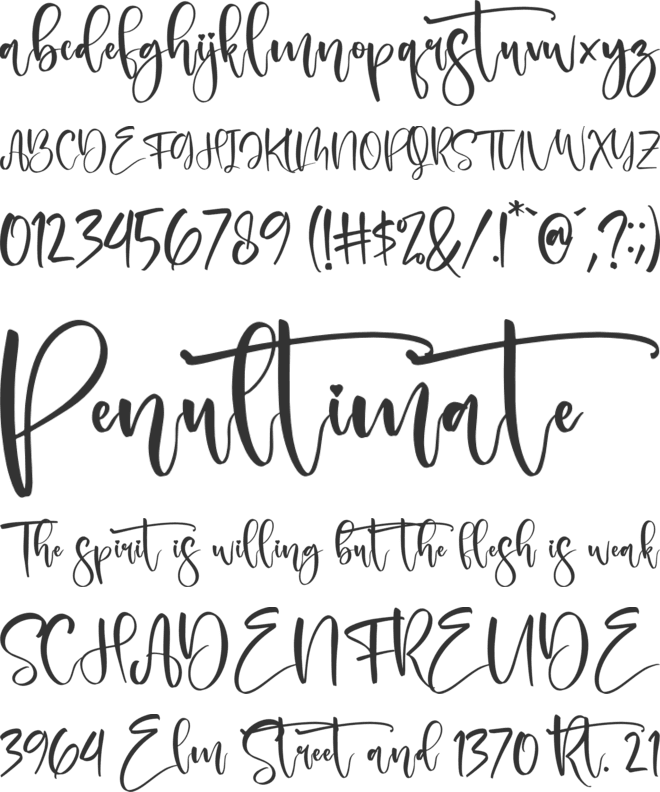 Delashanty font preview