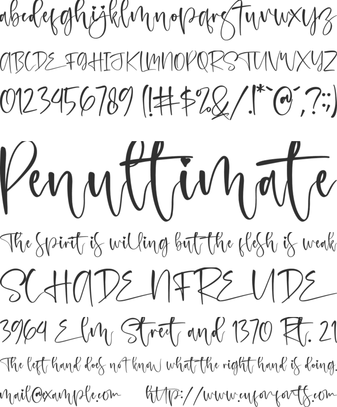melinda daily font preview