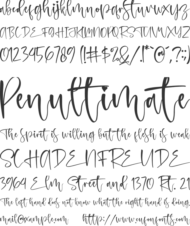 melinda daily font preview