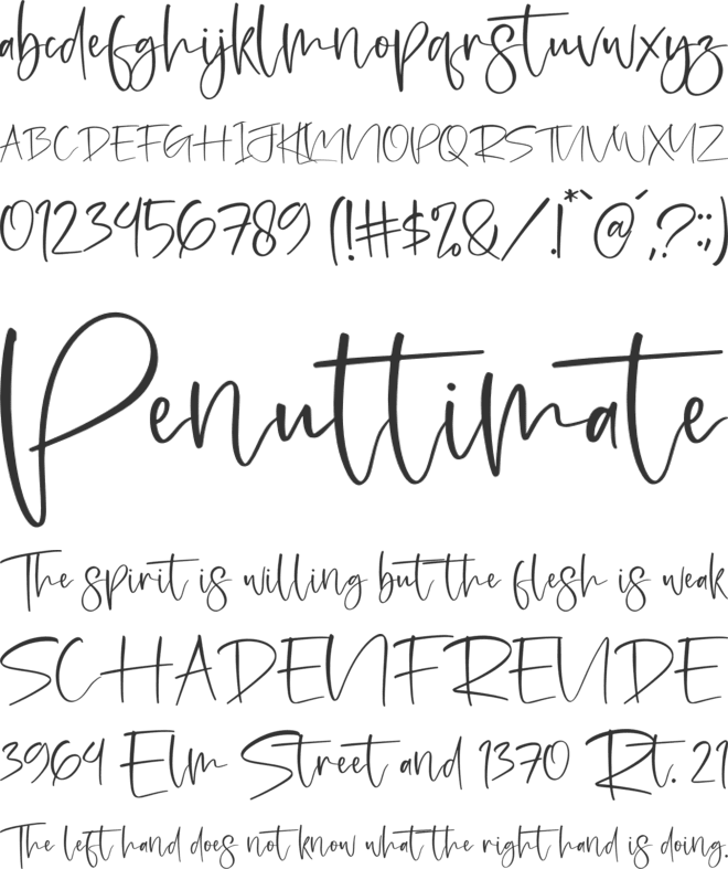 Jhollie Elisha font preview