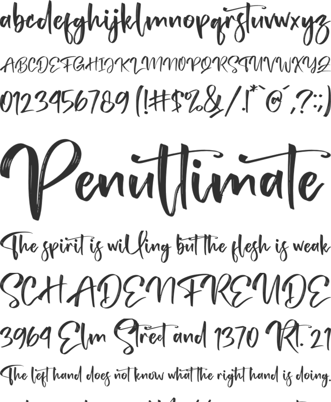 Tedy Brush font preview