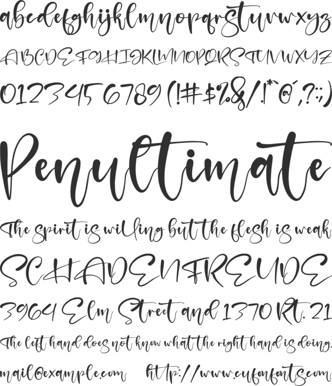 Mustard font preview