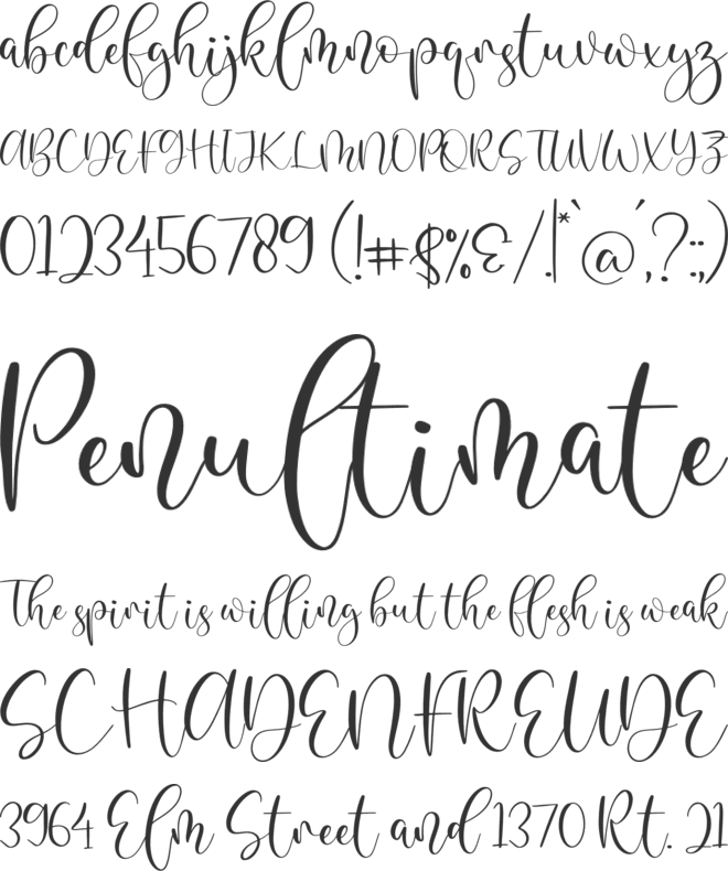 Blandita font preview