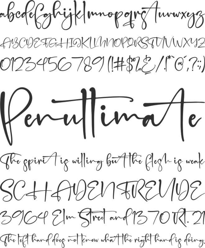Handscript Signature font preview