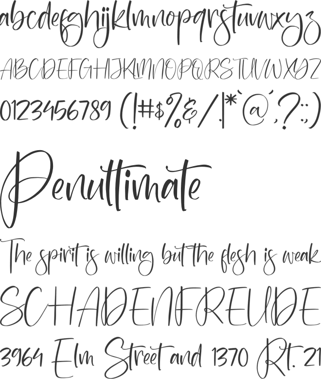 Washington Yesterday font preview