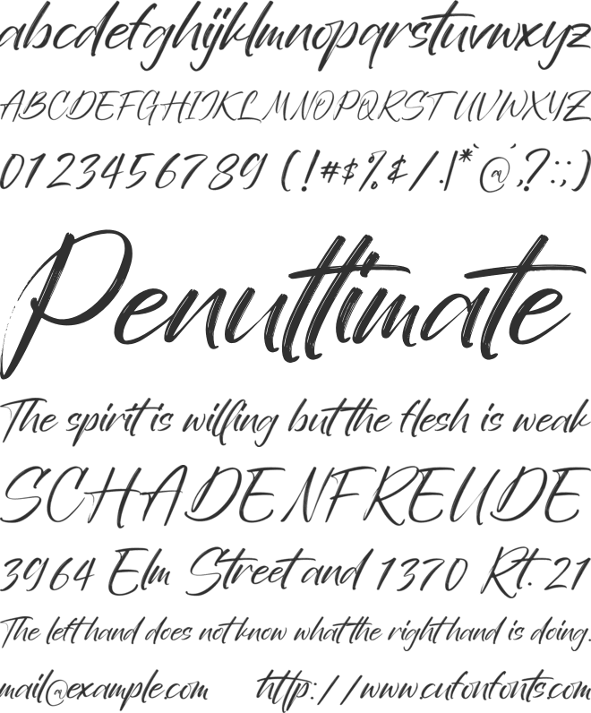 Sunday Freedom font preview