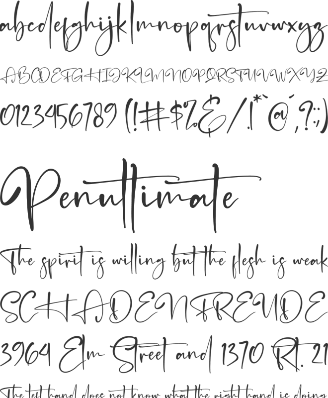 Brandon Smith font preview