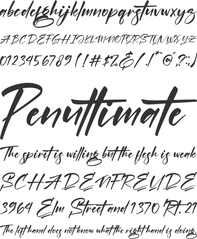 Amigate Endgame font preview