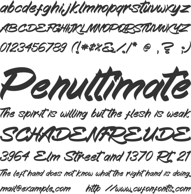 Kampiun Samgor font preview