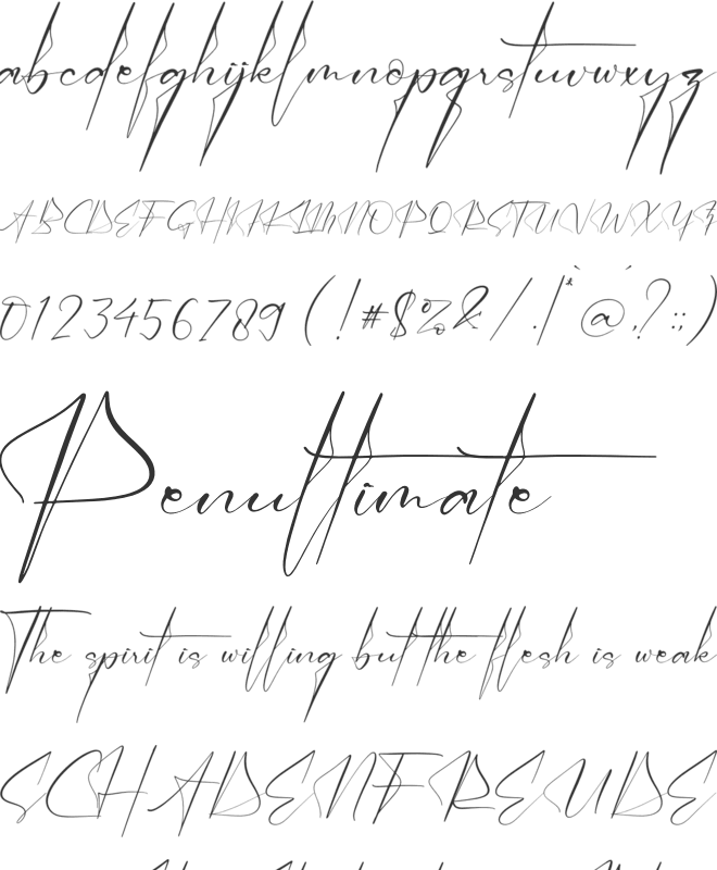 Victory Landera font preview