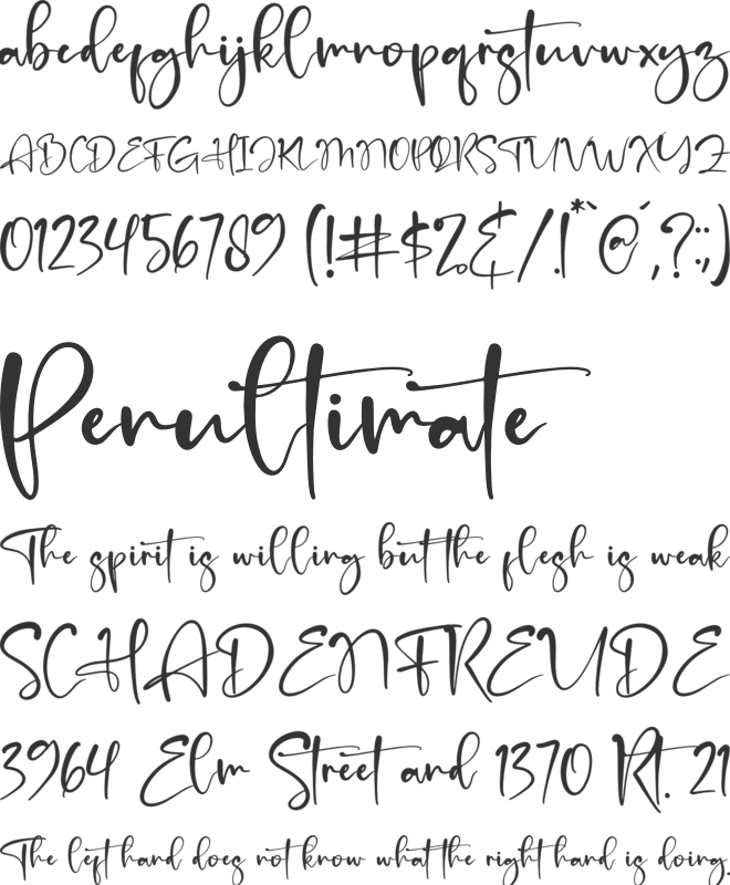 Amsterdam Bright font preview