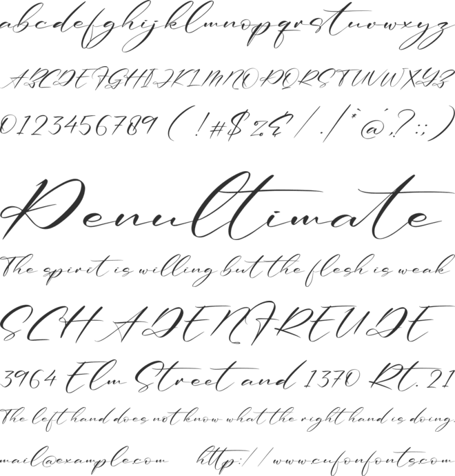 Renathalia Signature font preview