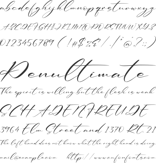 Renathalia Signature font preview