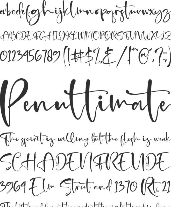 Beterdam Smith font preview