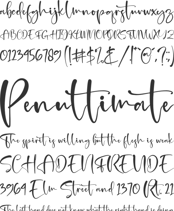Beterdam Smith font preview