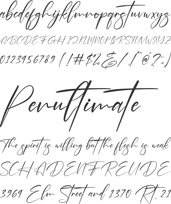 Brotherdam Signature font preview