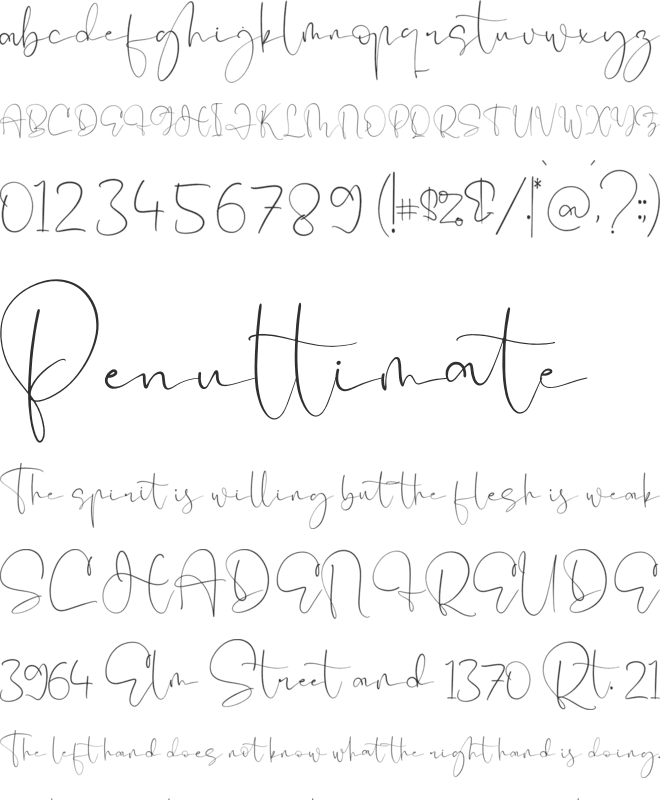 Pelgona Stilman font preview