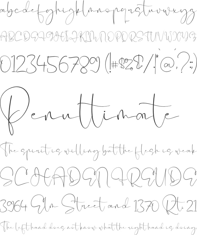 Pelgona Stilman font preview