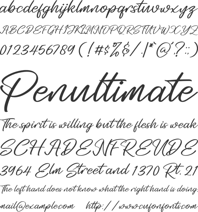 Midletton Blenda font preview