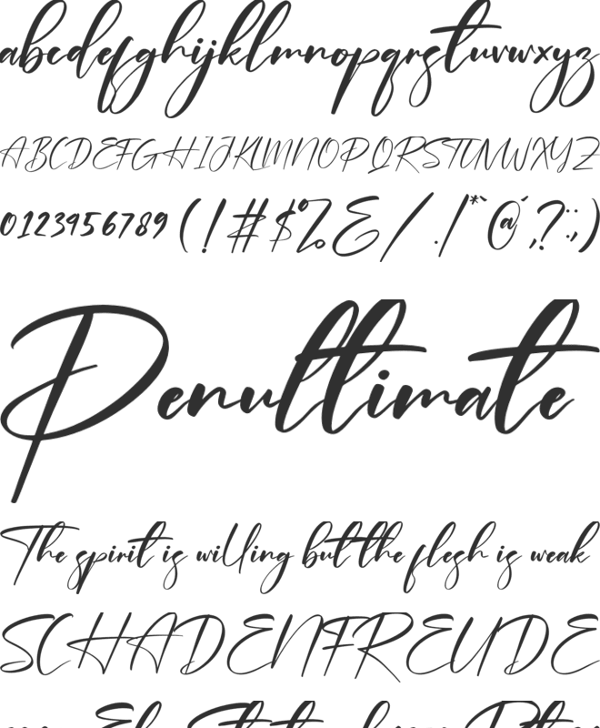 Plasmatic Signature font preview