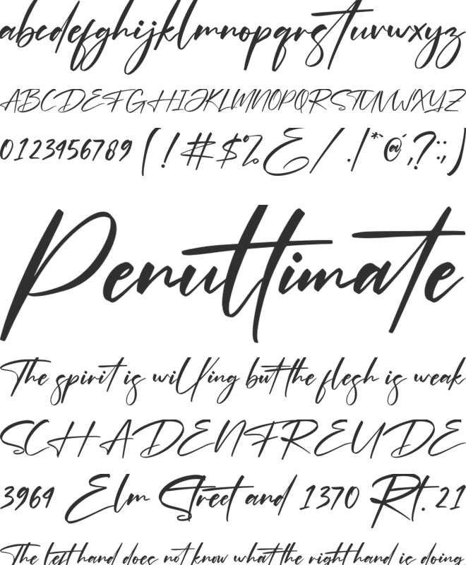 Optimistic Signature font preview