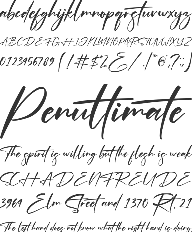 Optimistic Signature font preview