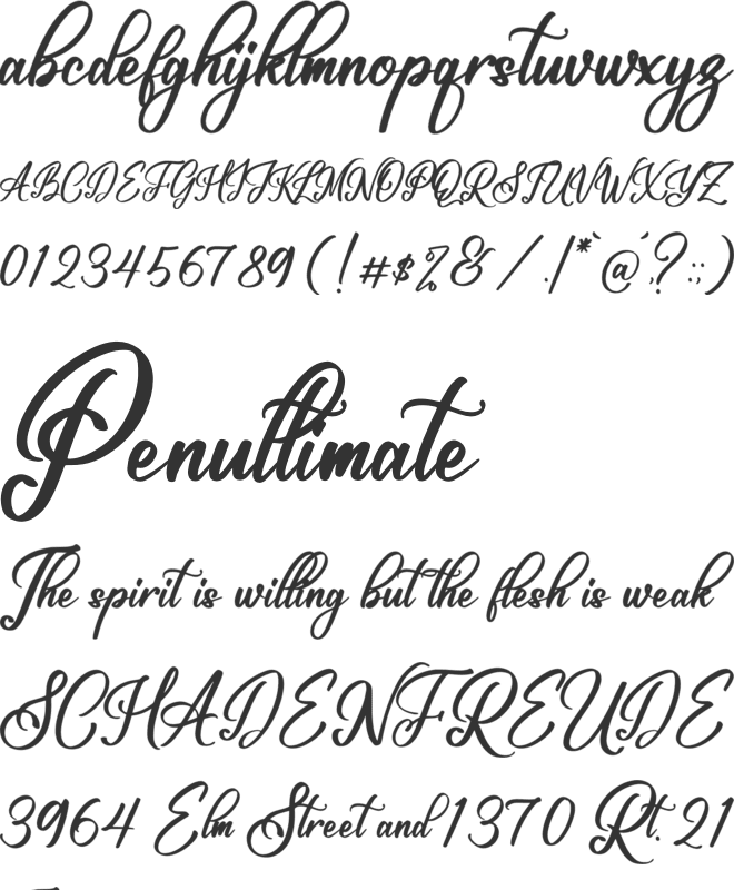 Manchester Signature font preview