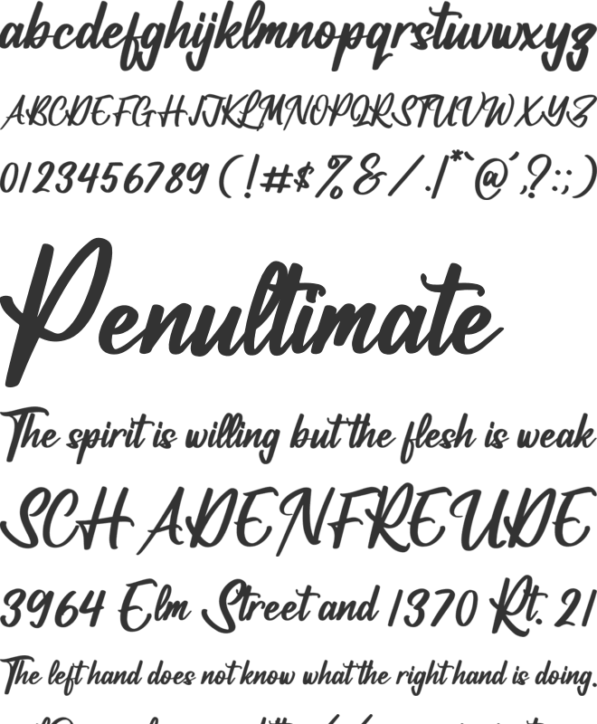 Vifastev Caledon font preview