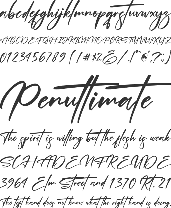 Andalusia Signature font preview