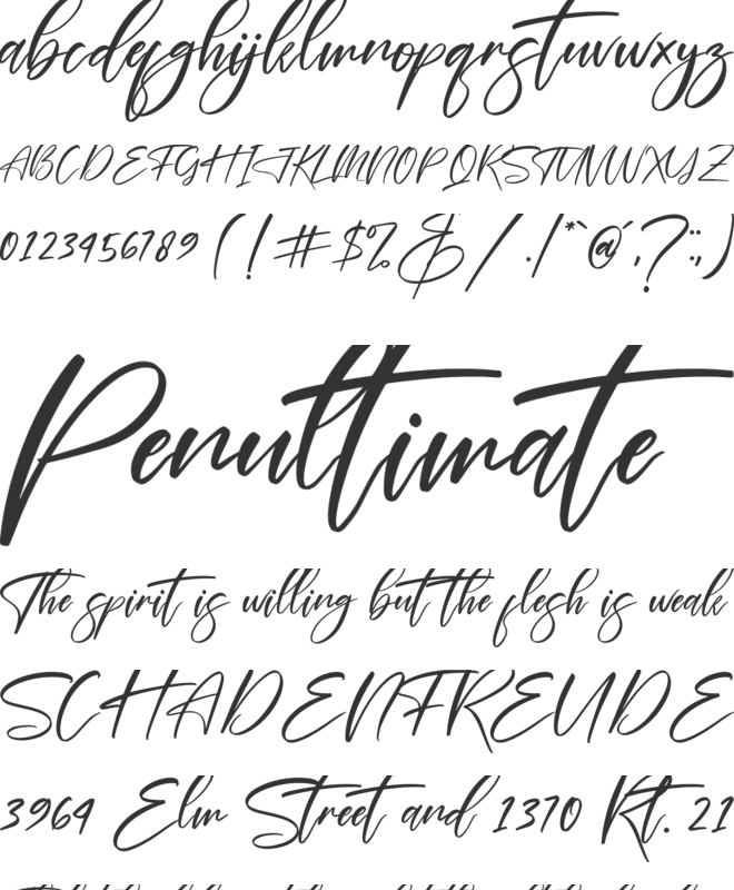 Delmonte Hunters font preview