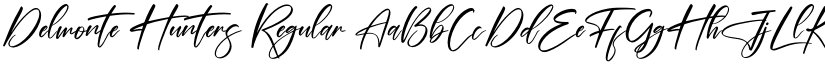 Delmonte Hunters Regular font
