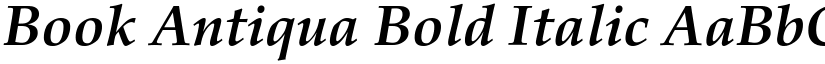 Book Antiqua Bold Italic font