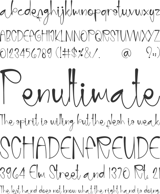 Photographer font preview