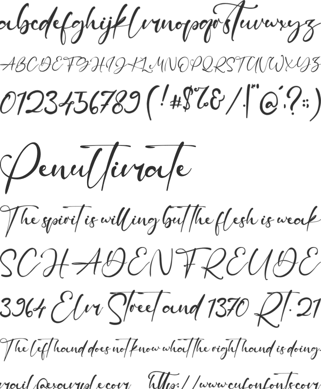 Neal Ball font preview