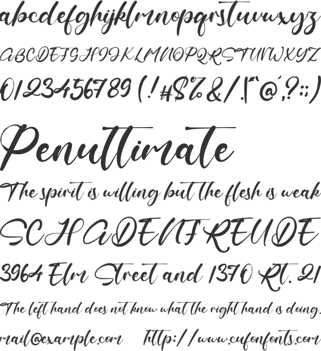 Maestro Merrill font preview