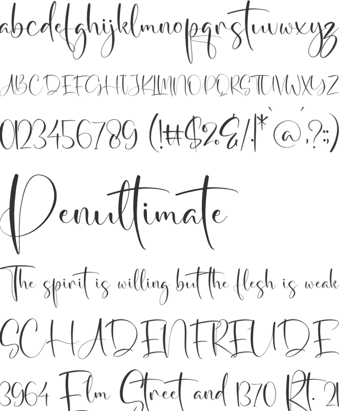 Winterland font preview