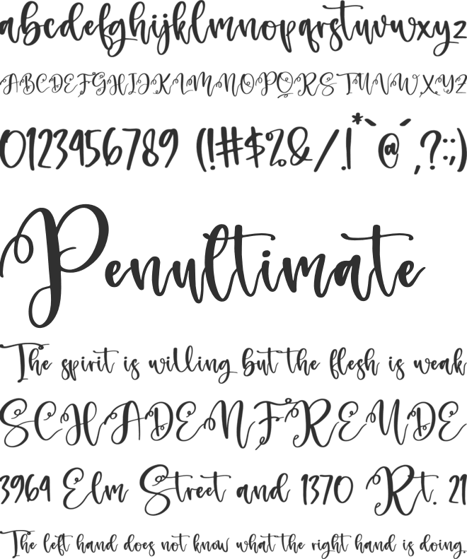 Monday Holiday font preview