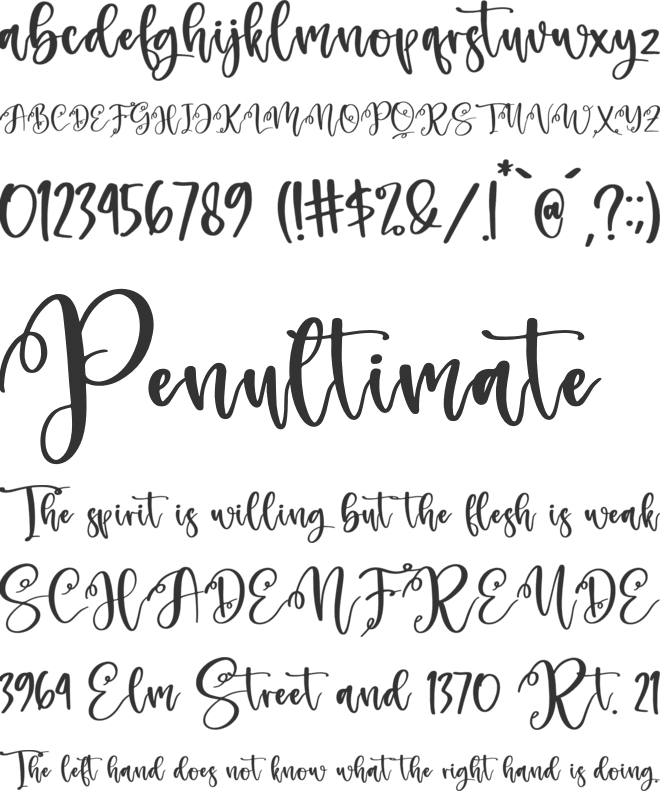 Monday Holiday font preview