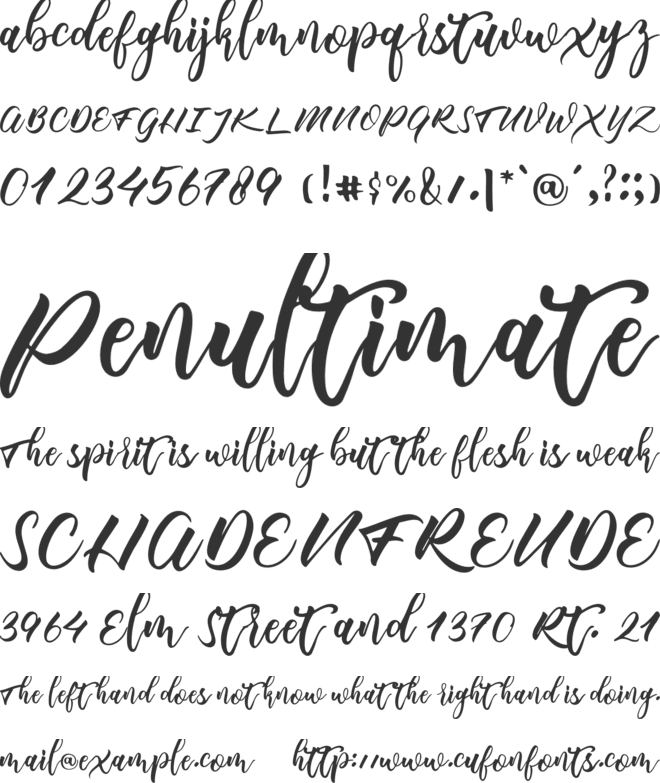 evangelia font preview