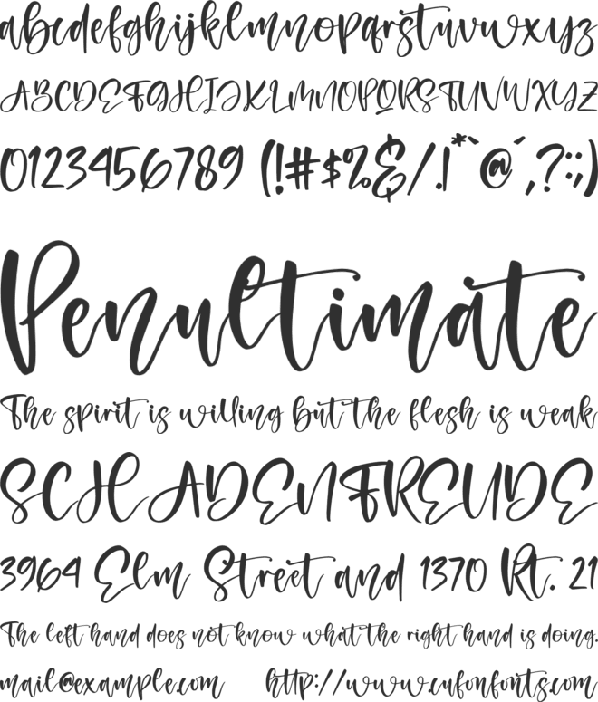 Amigoste font preview